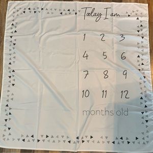 Baby Monthly Picture Sheet